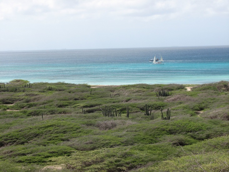 Aruba visit during Caribbean cruise