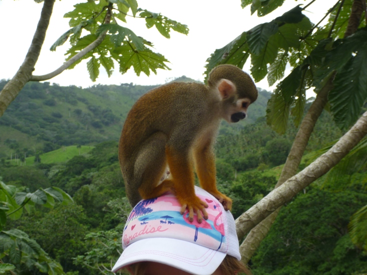 Monkey on top of the girl head at Monkeyland Punta Cana